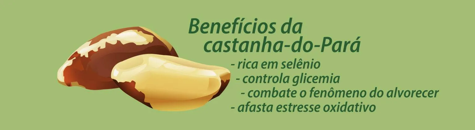 benefícios da castanha do pará: rica em selênio, controla a glicemia, combate o fenômeno do alvorecer, afasta estresse oxidativo