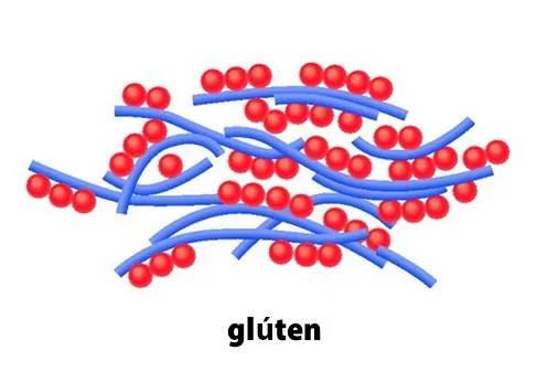 glúten