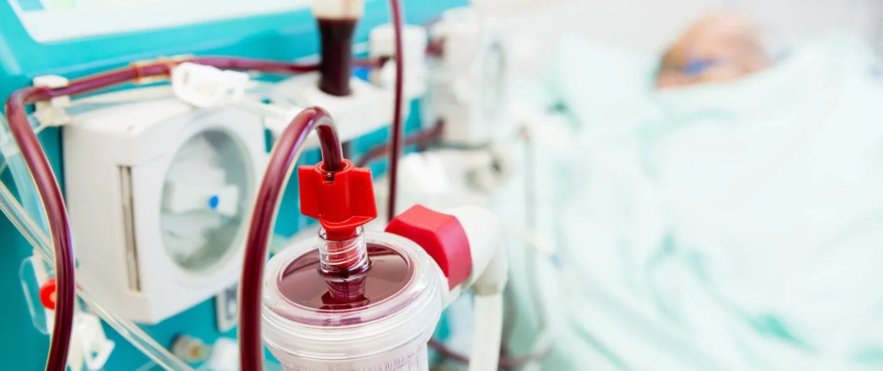 Nefropatia diabética: Restaure sua função renal com essas dicas